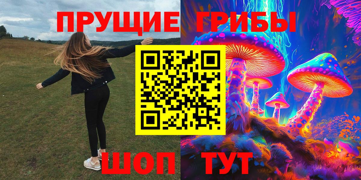 Галлюциногенные грибы прущие грибы  Вход с VPN  Псилоцибиновые грибы ЛСД  Прохладный 