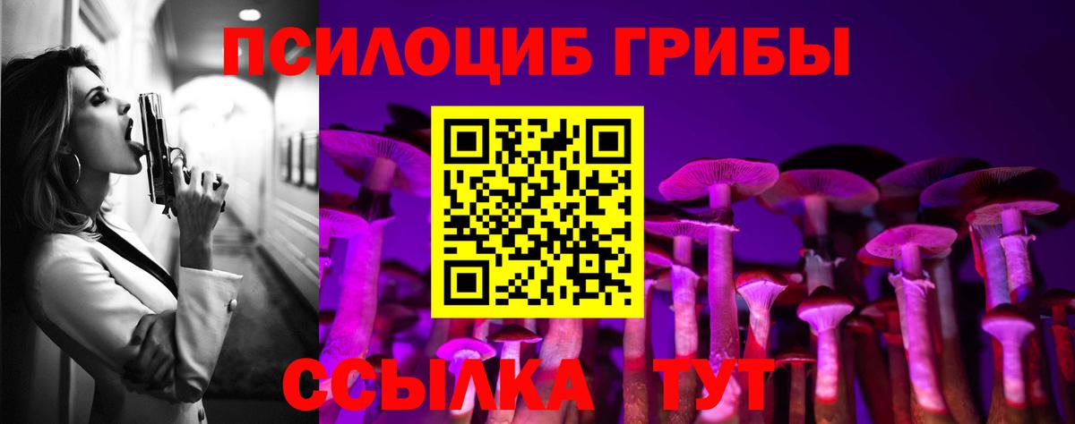 Псилоцибиновые грибы GOLDEN TEACHER Прохладный